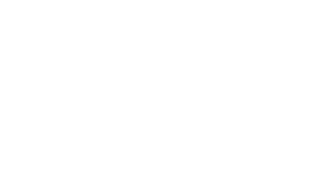 hotel-dollinger